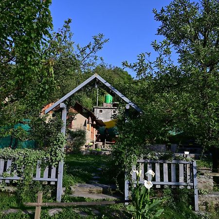 Himalayan Mud Resort Касоль Экстерьер фото