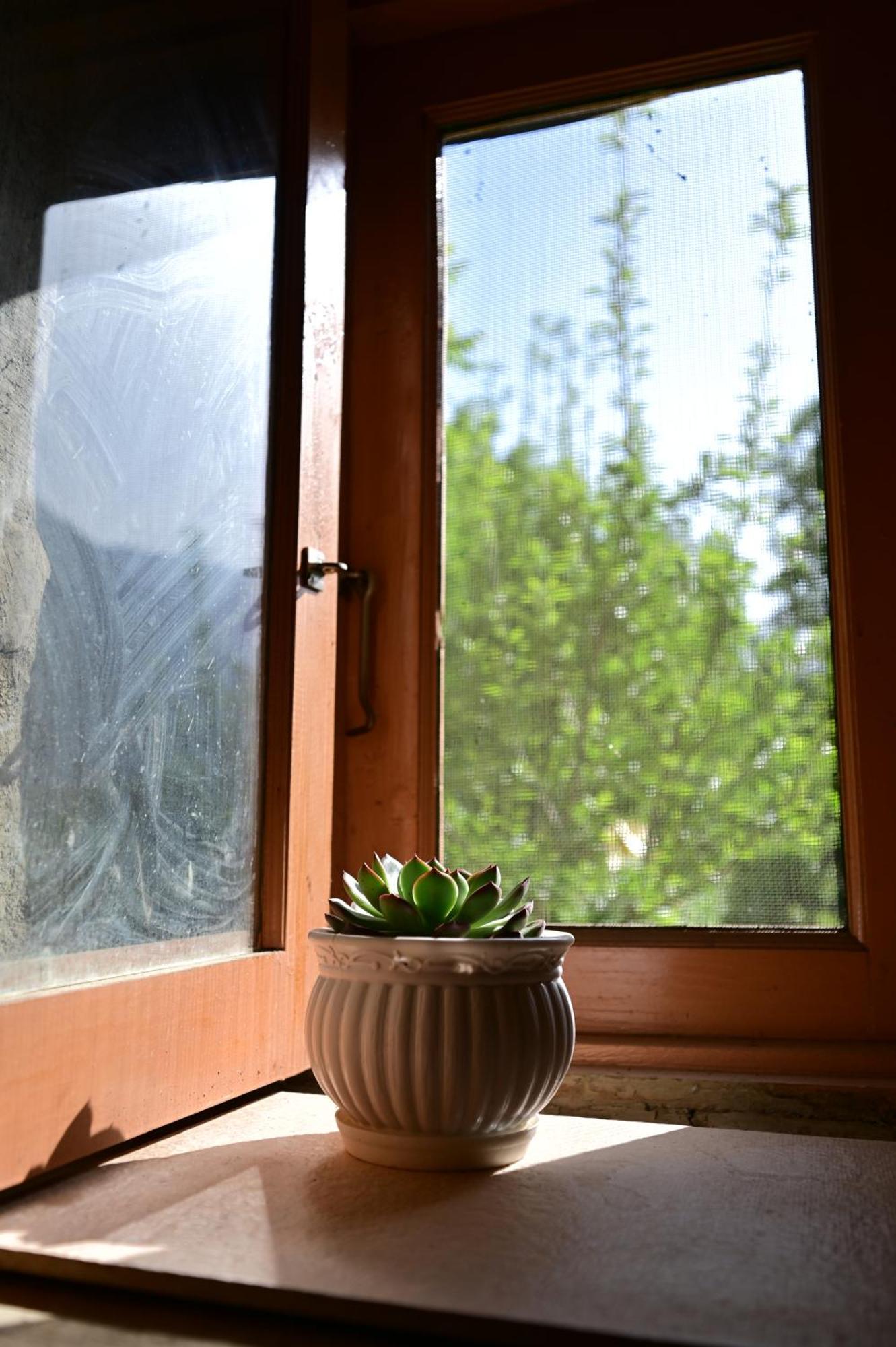 Himalayan Mud Resort Касоль Экстерьер фото